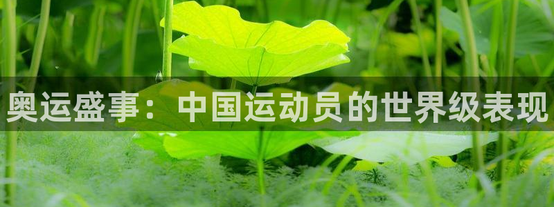 J9官网下载平台注册流程图：奥运盛事：中国运动员的世