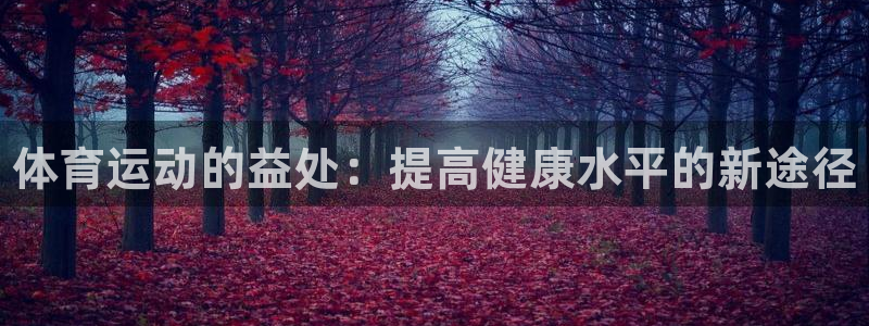 J9官方正版app新能源：体育运动的益处：提高健康水平的新途