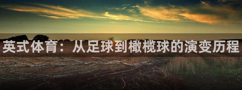 J9官方正版app娱乐40996：英式体育：从足球到