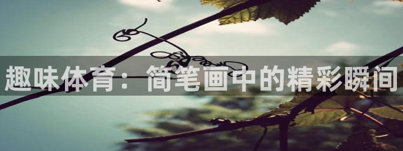 J9官网下载招商电话是多少：趣味体育：简笔画中的精彩瞬间