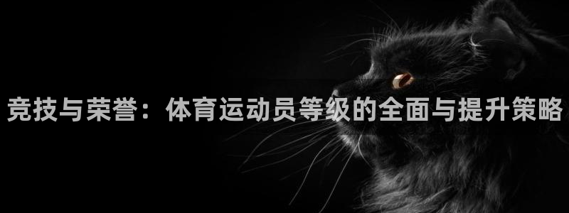 J9官方正版app五金厂：竞技与荣誉：体育运动员等级的全面与