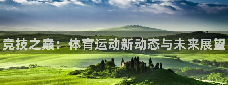 J9官方正版app娱乐是那个系列的台子：竞技之巅：体育运动新