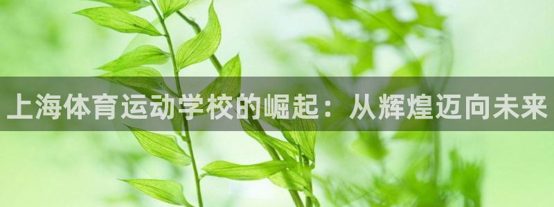 J9官网下载招商电话号码：上海体育运动学校的崛起：从辉煌迈向