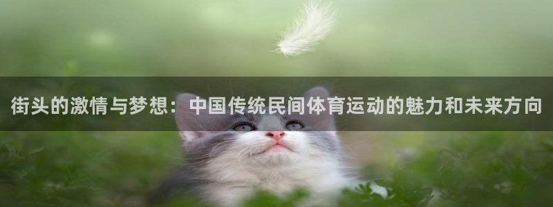 J9官网下载招商电话地址：街头的激情与梦想：中国传统