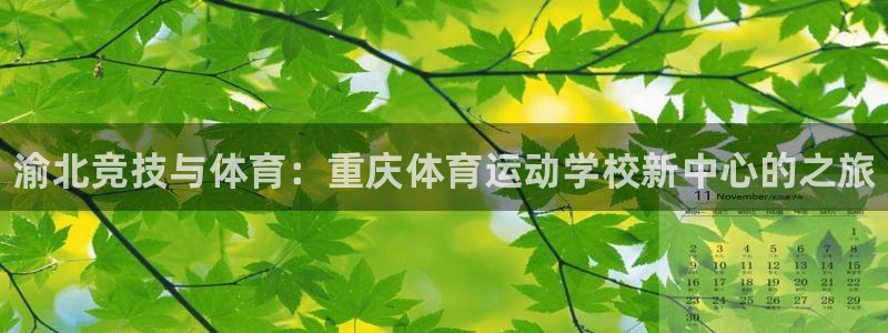 J9官网下载注册：渝北竞技与体育：重庆体育运动学校新