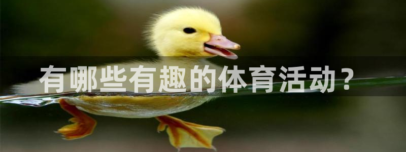 J9官方正版app官网：有哪些有趣的体育活动？