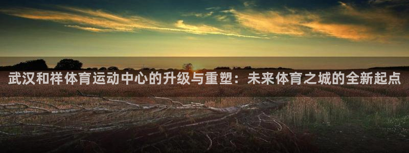 J9官方正版app娱乐是那个系列的台子：武汉和祥体育