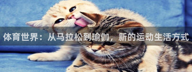 J9官网下载联系电话：体育世界：从马拉松到瑜伽，新的