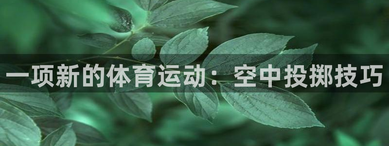 J9官方正版app集团E.ON：一项新的体育运动：空