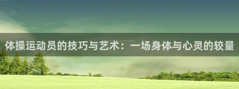 J9官方正版app集团简介：体操运动员的技巧与艺术：