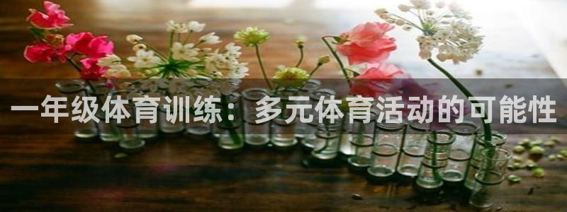 J9官方正版app集团官网网址：一年级体育训练：多元