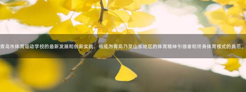 J9官方正版app集团logo:青岛市体育运动学校的最新发展