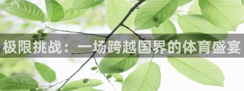 J9官方正版app官网：极限挑战：一场跨越国界的体育盛宴