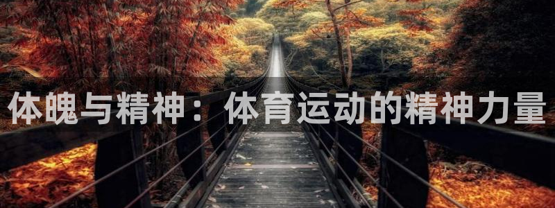 J9官网下载软件：体魄与精神：体育运动的精神力量